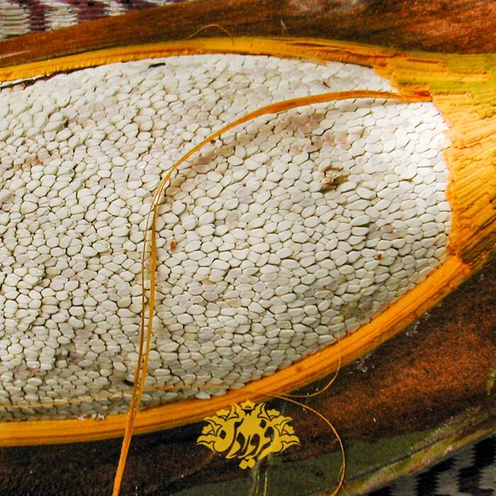 گرده نخل بسته 100 گرمی درمان انواع بیماری های جنسی بانوان و اقایان