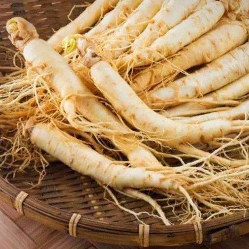 پودر جنسینگ کره ای و درمان بیماری جنسی اقایان و بانوان 100گرم